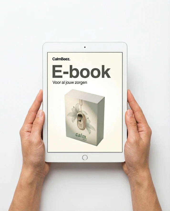 E-Book